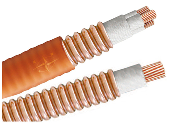 CHINA Certificación da alta temperatura multifilar del IEC del cable BTTW 500V BS de la carga ligera proveedor