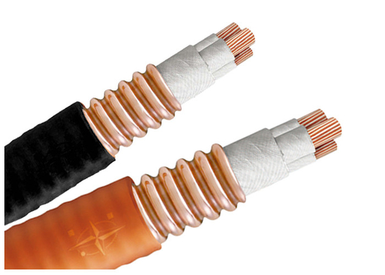 CHINA Cable eléctrico de alta temperatura pesado de la carga 750V con resistencia de radiación fuerte proveedor