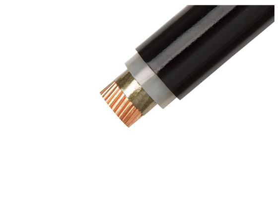 CHINA La baja tensión XLPE aisló el conductor de cobre forrado PVC del cable de la prueba de fuego proveedor