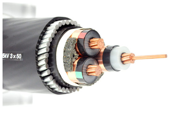 CHINA Estándar acorazado del cable eléctrico IEC60228 de la cinta de acero de la capa doble proveedor