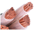 El PVC trenzado del conductor de cobre 1kV aisló los cables y forró el cable de transmisión proveedor