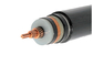 Cable acorazado de la cinta de acero no magnética que ata con alambre CU/XLPE/CTS/STA/PVC 6.35/11KV proveedor