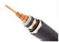 Estándar acorazado del cable eléctrico IEC60228 de la cinta de acero de la capa doble proveedor