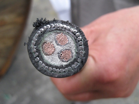 Cables de energía eléctrica aislados XLPE sin blindaje o con blindaje, de núcleo único o múltiple proveedor