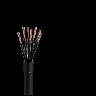 0.6kv Cable aislado XLPE de cinco núcleos para aplicaciones industriales proveedor