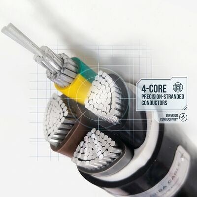 Cable Aislado de PVC Impermeable y Resistente a la Humedad 0.6/1kV 2 Conductores 2x4mm2 Área Húmeda Exterior proveedor