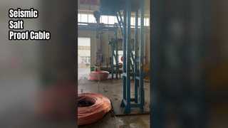 Cable Shenghua 26 de 35 kV inmune a la sal sísmica